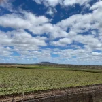 Ingresso da Kuara Frutas na sociedade